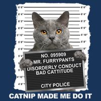 Catnip Made Me Do It Funny Cat Tee Sweatshirt