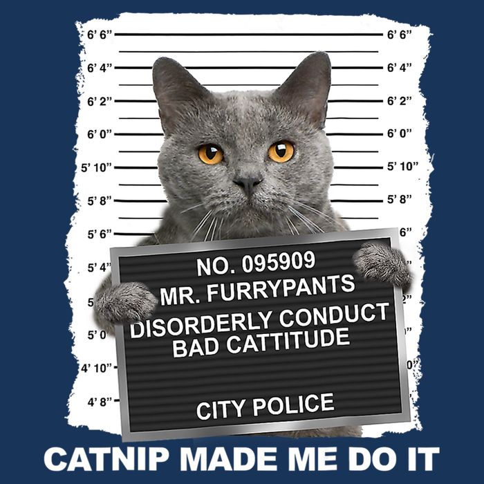 Catnip Made Me Do It Funny Cat Tee Sweatshirt