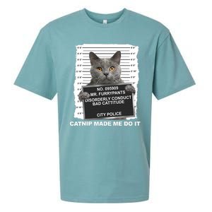 Catnip Made Me Do It Funny Cat Tee Sueded Cloud Jersey T-Shirt