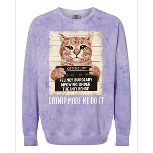 Catnip Made Me Do Igift Funny Cat Owners Catnip Cat Gift Colorblast Crewneck Sweatshirt