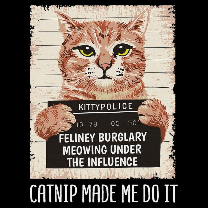 Catnip Made Me Do I Cat Owners Catnip Made Me Do It Drawstring Bag
