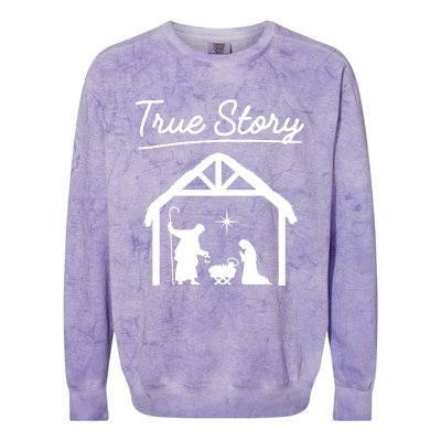 Christmas Manger Nativity Scene True Story Wise Colorblast Crewneck Sweatshirt