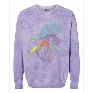 Colourful Mushrooms Of Imagination Colorblast Crewneck Sweatshirt