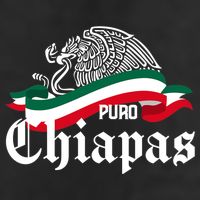 Chiapas Mexico Puro Chiapas Eagle Flag 11oz C Handle Ceramic Mug