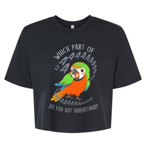 Catalina Macaw Parrot Aaa Funny Cute Pet Hybrid Bird Mom Dad Bella+Canvas Jersey Crop Tee