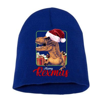 Christmas Merry Rexmas Dinosaur W/ SantaS Hat Tree Rex Great Gift Short Acrylic Beanie