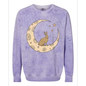 Crescent Moon Rabbit Stars Wiccan Wicca Witch Moon Phases Gift Colorblast Crewneck Sweatshirt