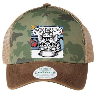 Cat Meme Sarcasm Cussing Cartoon Cat Pun Funny Inappropriate Legacy Tie Dye Trucker Hat
