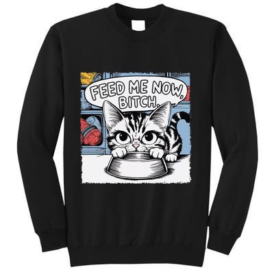 Cat Meme Sarcasm Cussing Cartoon Cat Pun Funny Inappropriate Sweatshirt