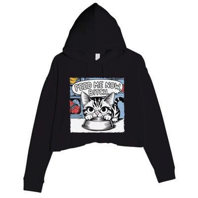 Cat Meme Sarcasm Cussing Cartoon Cat Pun Funny Inappropriate Crop Fleece Hoodie