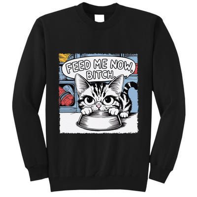 Cat Meme Sarcasm Cussing Cartoon Cat Pun Funny Inappropriate Tall Sweatshirt