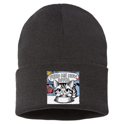 Cat Meme Sarcasm Cussing Cartoon Cat Pun Funny Inappropriate Sustainable Knit Beanie