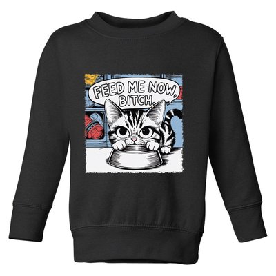 Cat Meme Sarcasm Cussing Cartoon Cat Pun Funny Inappropriate Toddler Sweatshirt