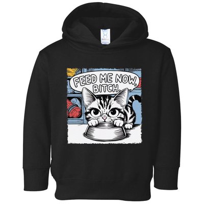 Cat Meme Sarcasm Cussing Cartoon Cat Pun Funny Inappropriate Toddler Hoodie