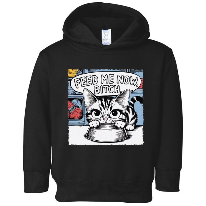 Cat Meme Sarcasm Cussing Cartoon Cat Pun Funny Inappropriate Toddler Hoodie