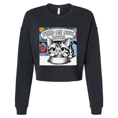 Cat Meme Sarcasm Cussing Cartoon Cat Pun Funny Inappropriate Cropped Pullover Crew