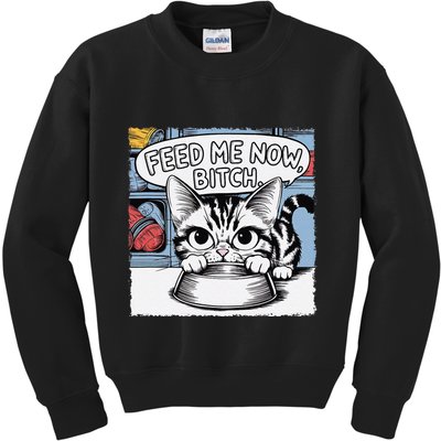 Cat Meme Sarcasm Cussing Cartoon Cat Pun Funny Inappropriate Kids Sweatshirt