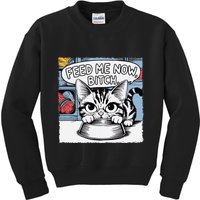 Cat Meme Sarcasm Cussing Cartoon Cat Pun Funny Inappropriate Kids Sweatshirt