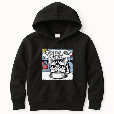 Cat Meme Sarcasm Cussing Cartoon Cat Pun Funny Inappropriate Kids Hoodie