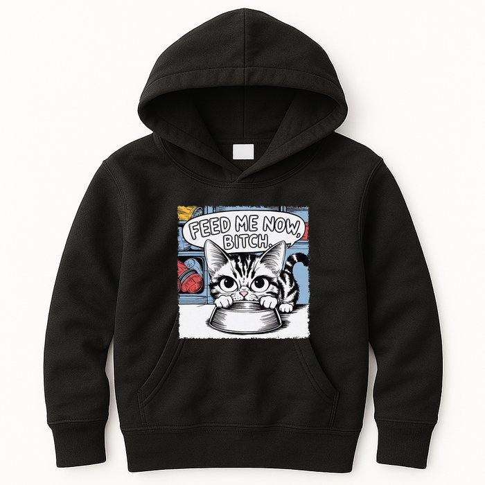 Cat Meme Sarcasm Cussing Cartoon Cat Pun Funny Inappropriate Kids Hoodie