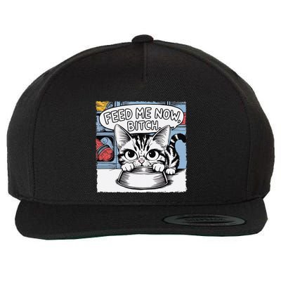 Cat Meme Sarcasm Cussing Cartoon Cat Pun Funny Inappropriate Wool Snapback Cap