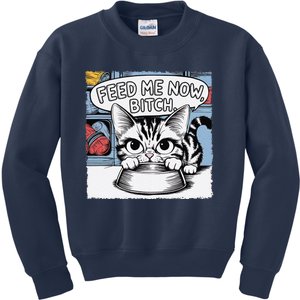 Cat Meme Sarcasm Cussing Cartoon Cat Pun Funny Inappropriate Kids Sweatshirt