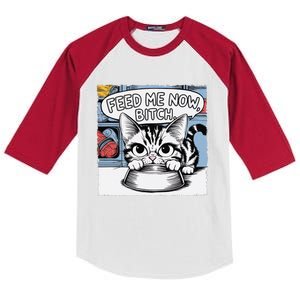 Cat Meme Sarcasm Cussing Cartoon Cat Pun Funny Inappropriate Kids Colorblock Raglan Jersey