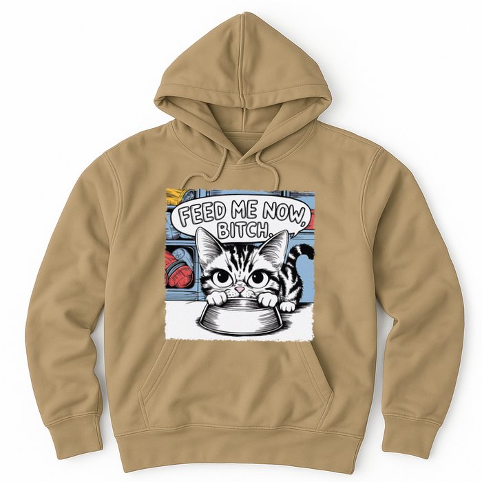 Cat Meme Sarcasm Cussing Cartoon Cat Pun Funny Inappropriate Hoodie