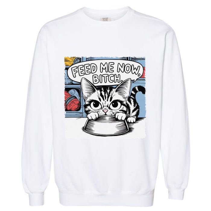 Cat Meme Sarcasm Cussing Cartoon Cat Pun Funny Inappropriate Garment-Dyed Sweatshirt