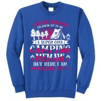 Camping Memaw Supper Cool Memaw Summer Holiday Funny Gift Sweatshirt