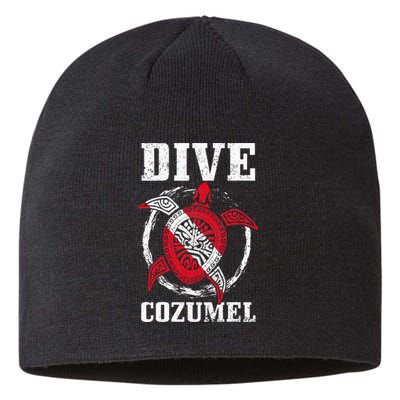 Cozumel Mexico Scuba Diving Flag Sea Turtle Scuba Diver Dive Sustainable Beanie