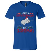 Christmas Math Teacher Funny Hypotenuse Math Hippotenuse V-Neck T-Shirt