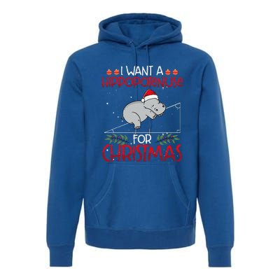 Christmas Math Teacher Funny Hypotenuse Math Hippotenuse Premium Hoodie