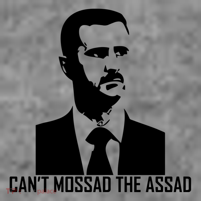 CanT Mossad The Assad 7-Panel Snapback Hat