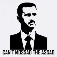 CanT Mossad The Assad Adult Drive Performance Visor