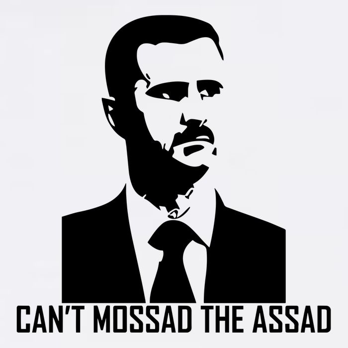 CanT Mossad The Assad Adult Drive Performance Visor
