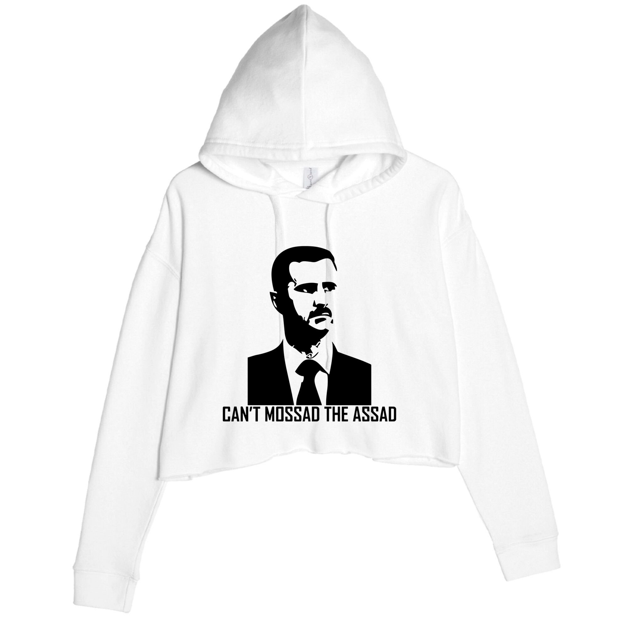 CanT Mossad The Assad Crop Fleece Hoodie