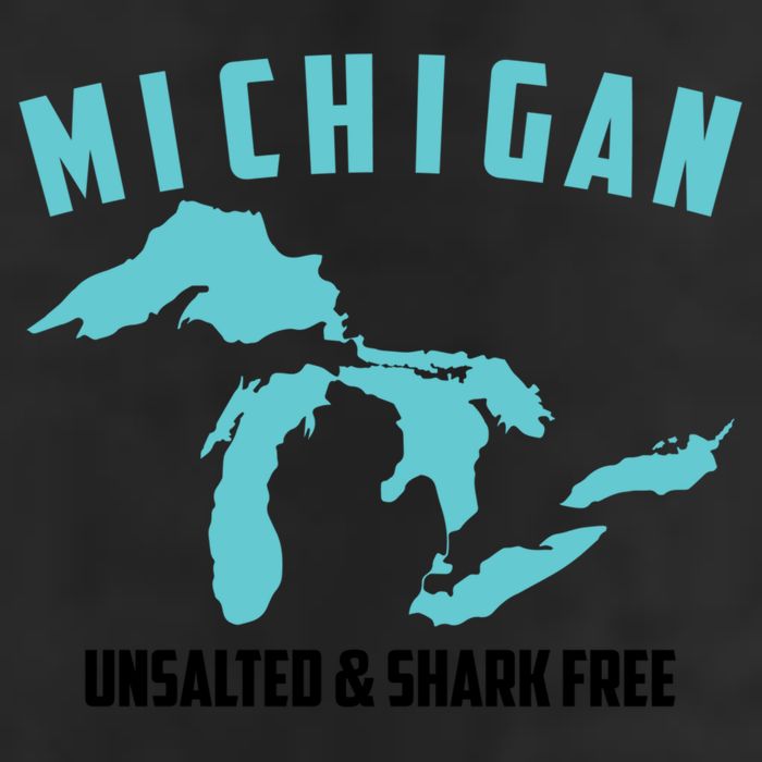 Cool Michigan Unsalted And Shark Free Funny Fisher Gift Hat