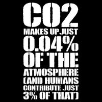 Co2 Makes Up Just 004 Of The Atmosphere Flat Bill Trucker Hat