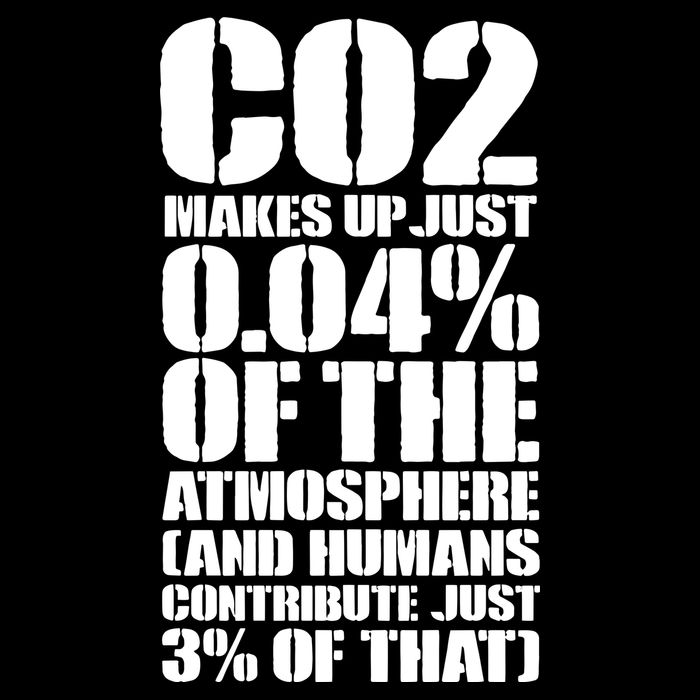 Co2 Makes Up Just 004 Of The Atmosphere Flat Bill Trucker Hat