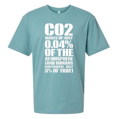 Co2 Makes Up Just 004 Of The Atmosphere Sueded Cloud Jersey T-Shirt