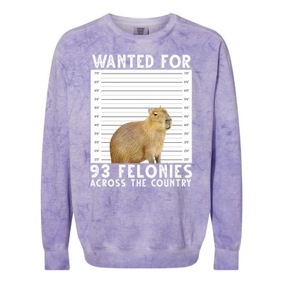 Capybara Mugshot Wanted For 93 Felonies Across The Country Colorblast Crewneck Sweatshirt