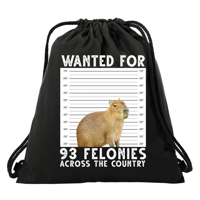 Capybara Mugshot Wanted For 93 Felonies Across The Country Drawstring Bag