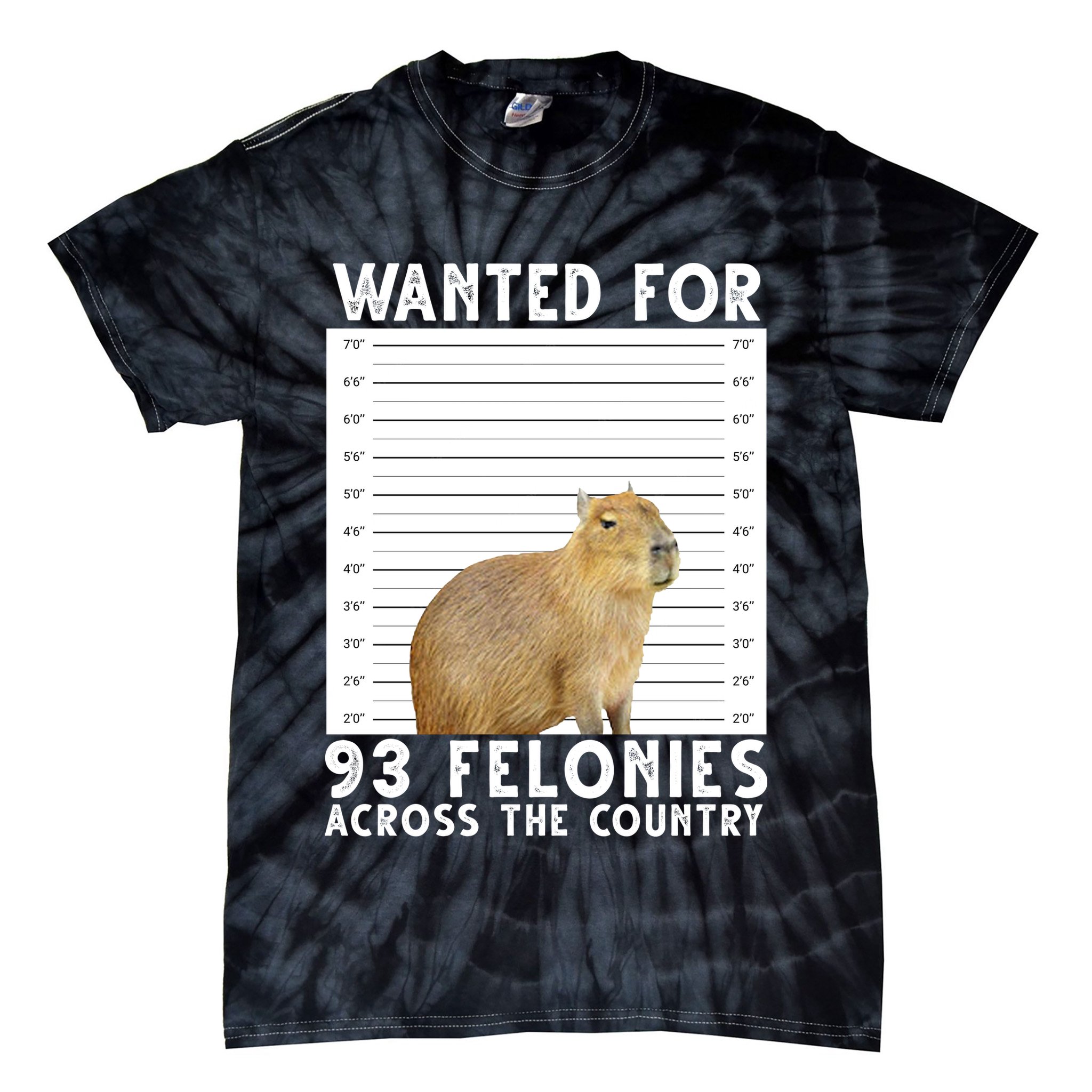 Capybara Mugshot Wanted For 93 Felonies Across The Country Tie-Dye T-Shirt