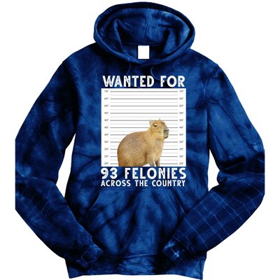 Capybara Mugshot Wanted For 93 Felonies Across The Country Tie Dye Hoodie