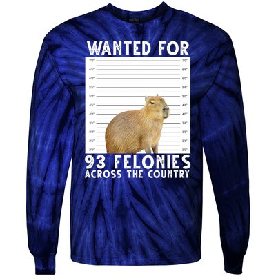 Capybara Mugshot Wanted For 93 Felonies Across The Country Tie-Dye Long Sleeve Shirt