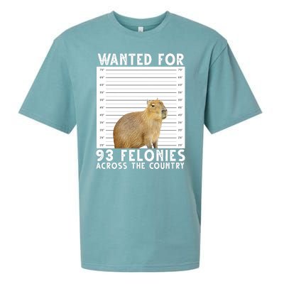 Capybara Mugshot Wanted For 93 Felonies Across The Country Sueded Cloud Jersey T-Shirt