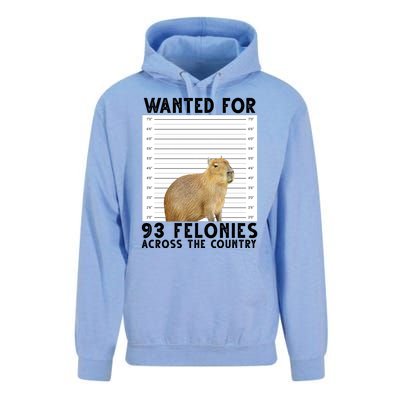 Capybara Mugshot Wanted For 93 Felonies Across The Country Unisex Surf Hoodie