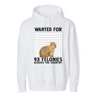 Capybara Mugshot Wanted For 93 Felonies Across The Country Garment-Dyed Fleece Hoodie