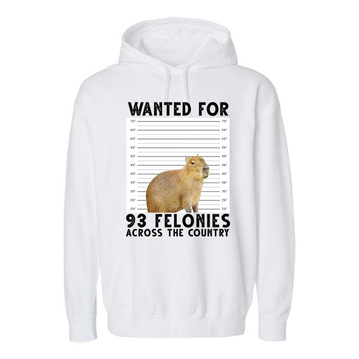 Capybara Mugshot Wanted For 93 Felonies Across The Country Garment-Dyed Fleece Hoodie